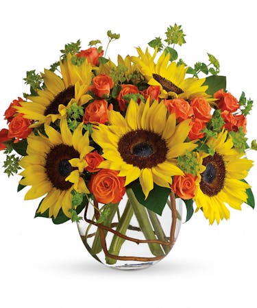 Sunny Sunflowers PM