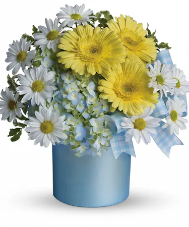 Once Upon A Daisy Conklyn S Flowers Nationwide Once Upon A Daisy Conklyn S Flowers Nationwide