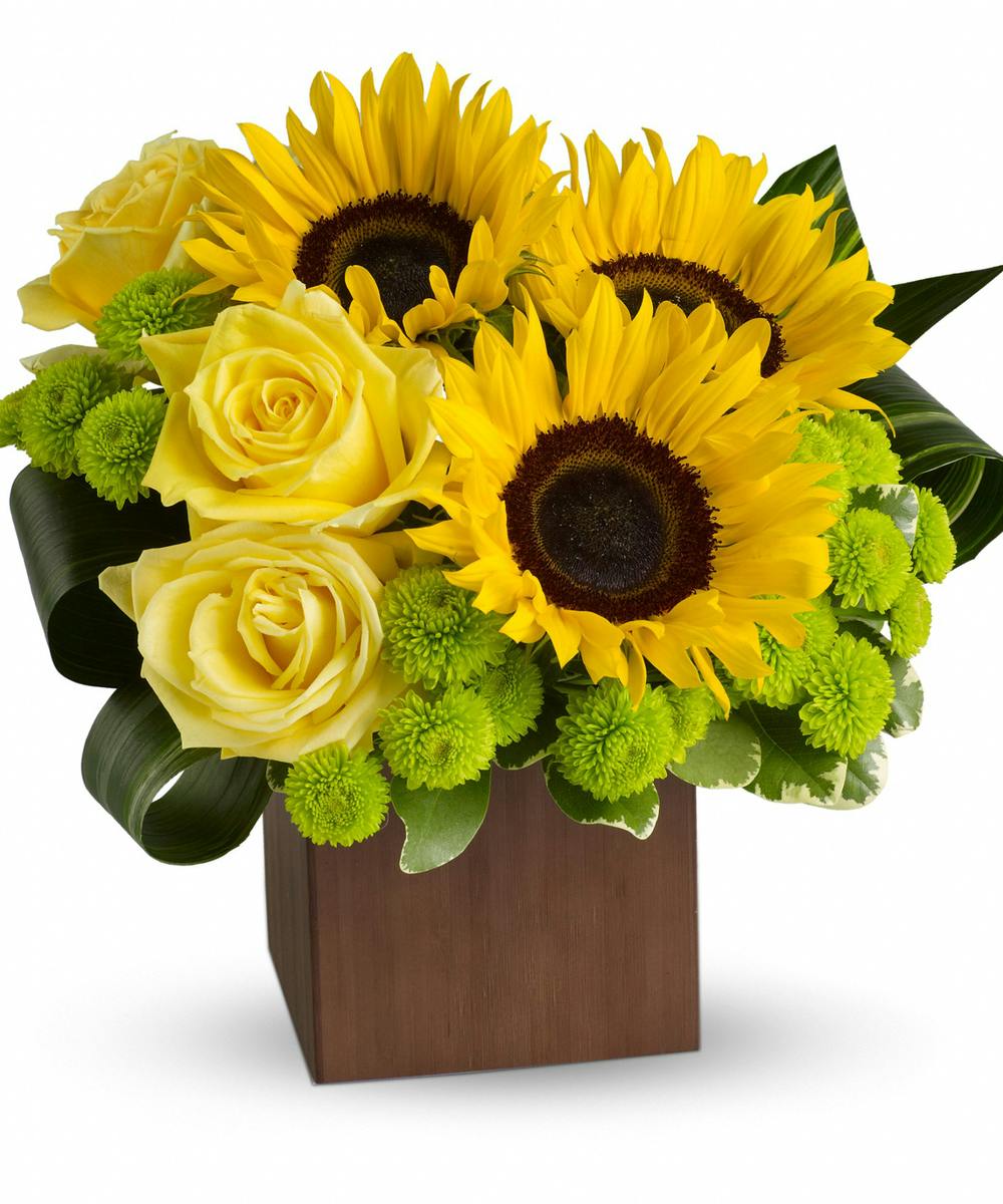 Sunflower Fantasy Alexandria (VA) Flower Delivery Conklyn's Florist